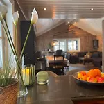 - In The Heart Of Telemark - Amazing Views, In Out, Hiking, Fishing, Golf, Sauna Hébergement de vacances *
