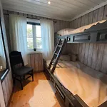 Hébergement de vacances - In The Heart Of Telemark - Amazing Views, In Out, Hiking, Fishing, Golf, Sauna *