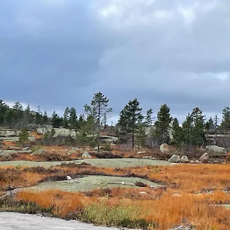 - In The Heart Of Telemark - Amazing Views, In Out, Hiking, Fishing, Golf, Sauna Holiday home Vradal