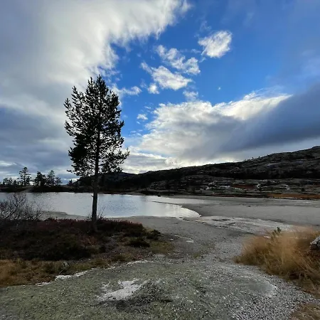 Casa de Férias - In The Heart Of Telemark - Amazing Views, In Out, Hiking, Fishing, Golf, Sauna Vradal